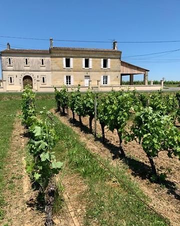 Gite Du Chateau La Rose Des Vents Villa Puisseguin Buitenkant foto